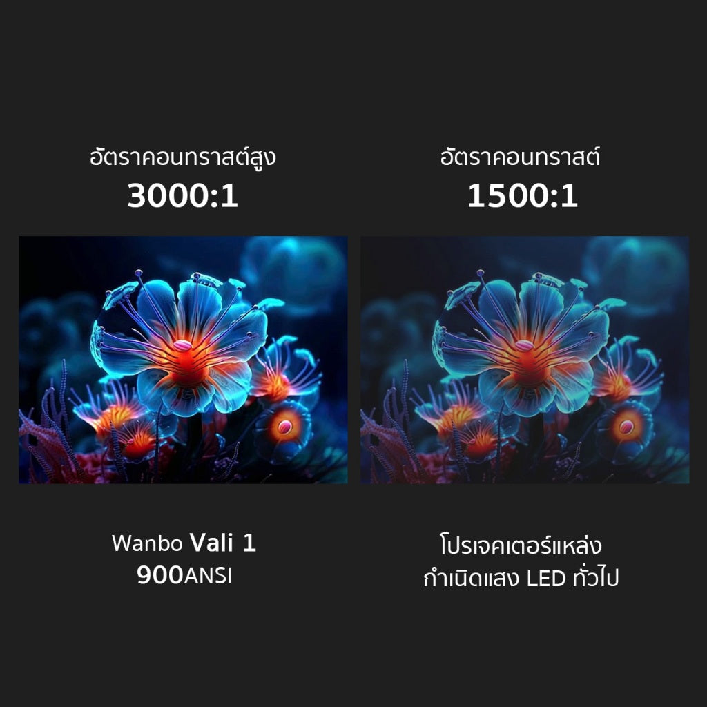 [New] Wanbo Vali 1 900 ANSI Projector
